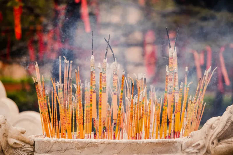 Your Nose Knows More Than Your Therapist: The Ancient Scent Rituals That Are Actually Rewiring Your Brain